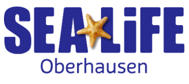 Kunde 4